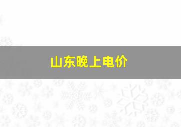 山东晚上电价