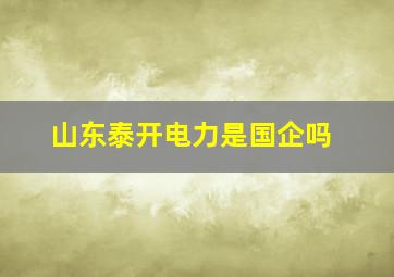 山东泰开电力是国企吗