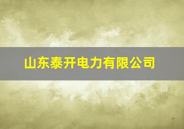 山东泰开电力有限公司