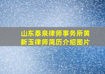 山东泰泉律师事务所黄新玉律师简历介绍图片