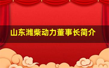 山东潍柴动力董事长简介