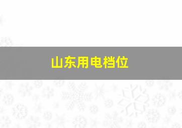 山东用电档位