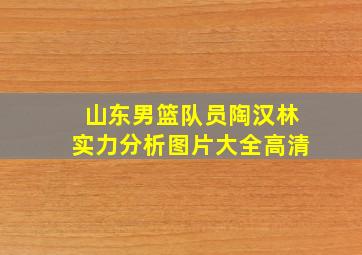 山东男篮队员陶汉林实力分析图片大全高清