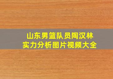 山东男篮队员陶汉林实力分析图片视频大全