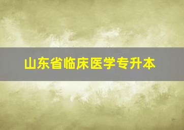 山东省临床医学专升本