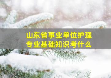 山东省事业单位护理专业基础知识考什么