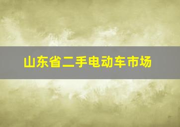 山东省二手电动车市场