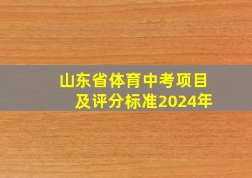 山东省体育中考项目及评分标准2024年