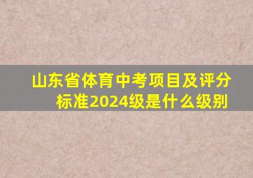 山东省体育中考项目及评分标准2024级是什么级别