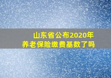 山东省公布2020年养老保险缴费基数了吗