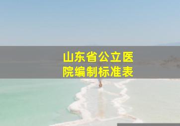 山东省公立医院编制标准表