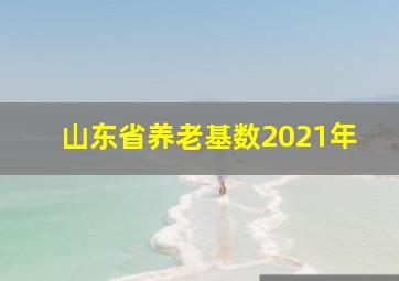 山东省养老基数2021年