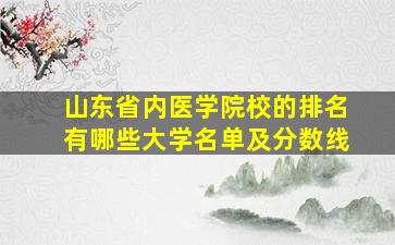 山东省内医学院校的排名有哪些大学名单及分数线