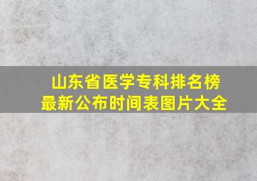 山东省医学专科排名榜最新公布时间表图片大全