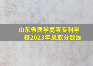 山东省医学高等专科学校2023年录取分数线