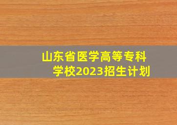 山东省医学高等专科学校2023招生计划