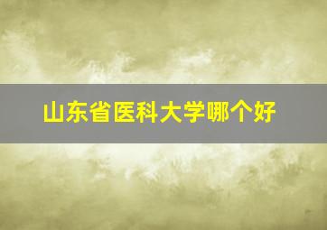 山东省医科大学哪个好