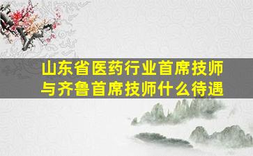 山东省医药行业首席技师与齐鲁首席技师什么待遇