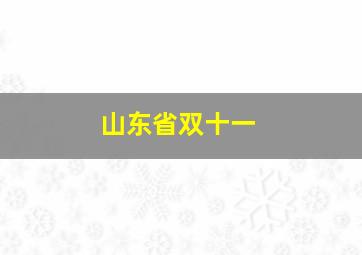 山东省双十一