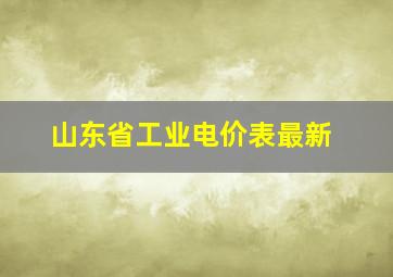 山东省工业电价表最新