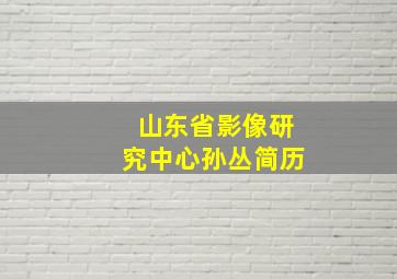 山东省影像研究中心孙丛简历