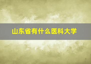 山东省有什么医科大学