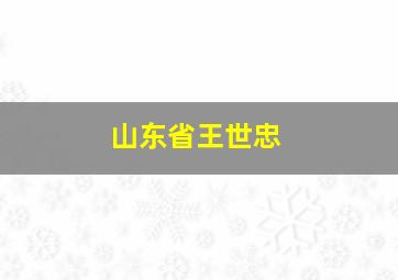 山东省王世忠