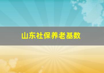 山东社保养老基数