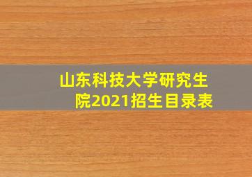 山东科技大学研究生院2021招生目录表