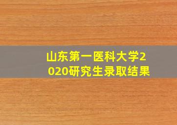 山东第一医科大学2020研究生录取结果