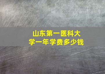 山东第一医科大学一年学费多少钱