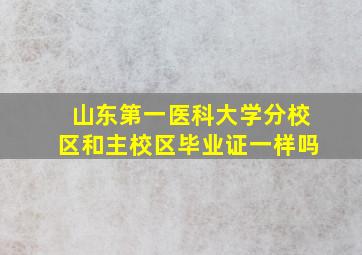 山东第一医科大学分校区和主校区毕业证一样吗