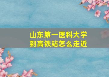 山东第一医科大学到高铁站怎么走近