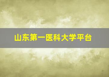 山东第一医科大学平台