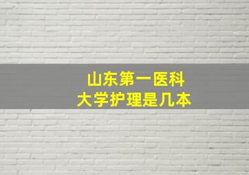 山东第一医科大学护理是几本