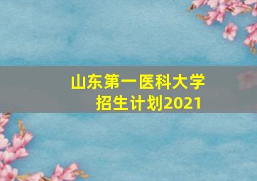 山东第一医科大学招生计划2021