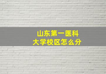 山东第一医科大学校区怎么分