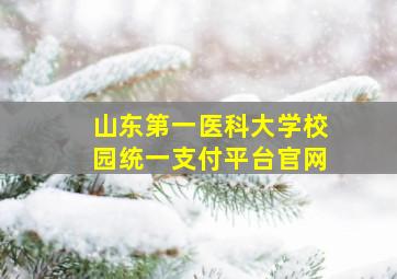 山东第一医科大学校园统一支付平台官网