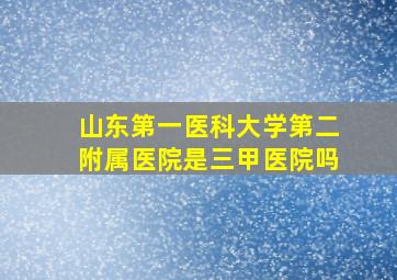 山东第一医科大学第二附属医院是三甲医院吗