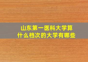 山东第一医科大学算什么档次的大学有哪些