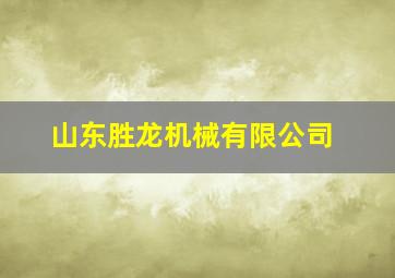 山东胜龙机械有限公司