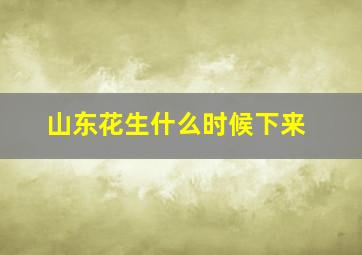 山东花生什么时候下来