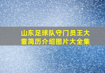 山东足球队守门员王大雷简历介绍图片大全集