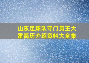 山东足球队守门员王大雷简历介绍资料大全集