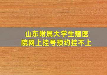 山东附属大学生殖医院网上挂号预约挂不上