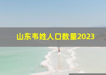 山东韦姓人口数量2023