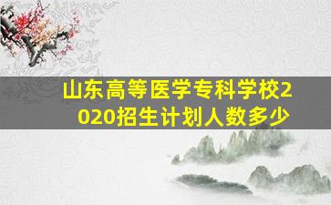 山东高等医学专科学校2020招生计划人数多少