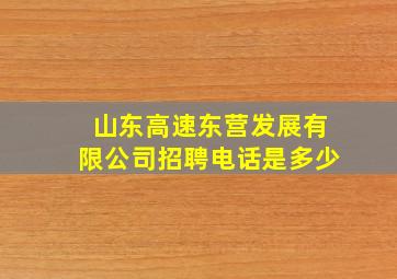 山东高速东营发展有限公司招聘电话是多少