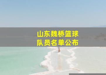 山东魏桥篮球队员名单公布