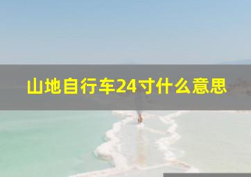 山地自行车24寸什么意思